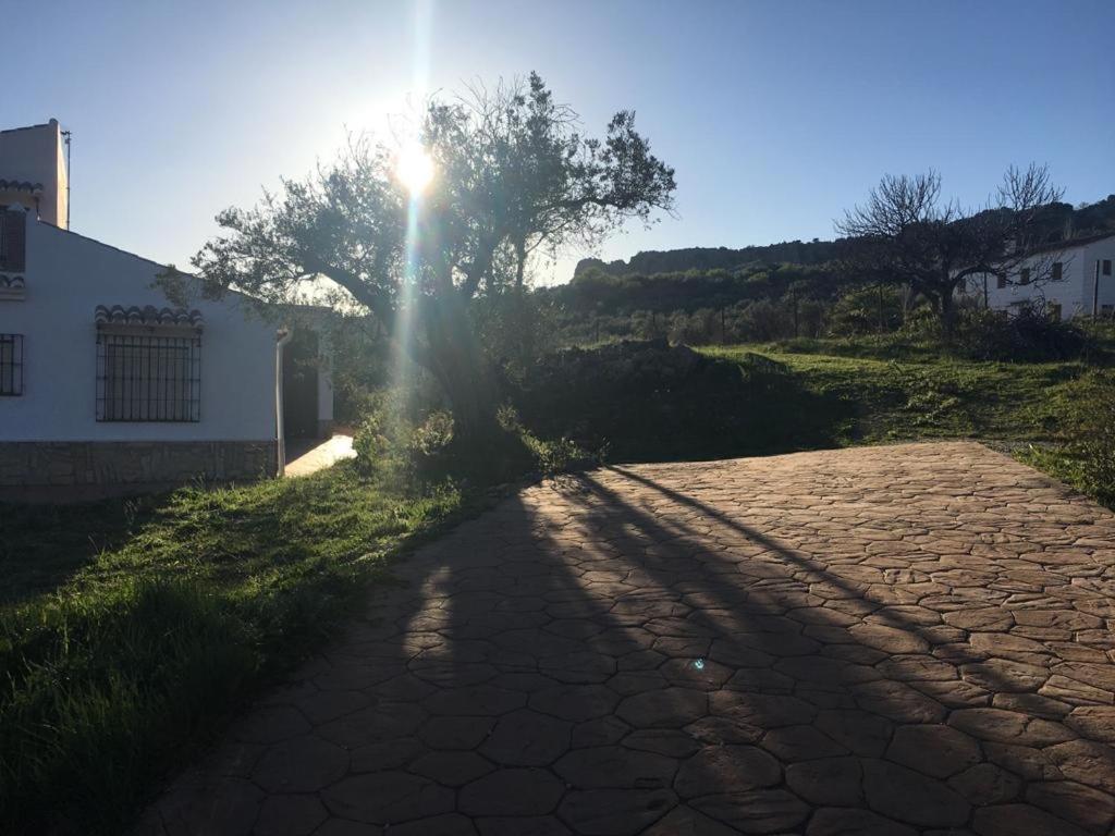 马拉加Casa Rural El Alamo别墅 外观 照片